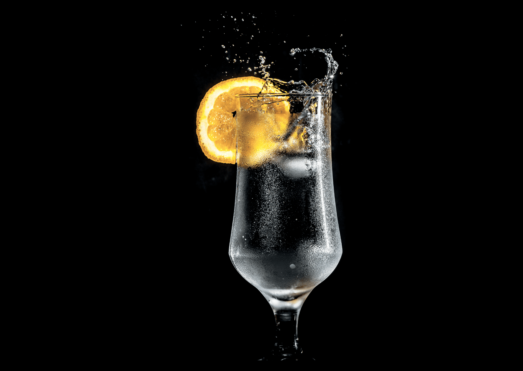 Bartender Profesional