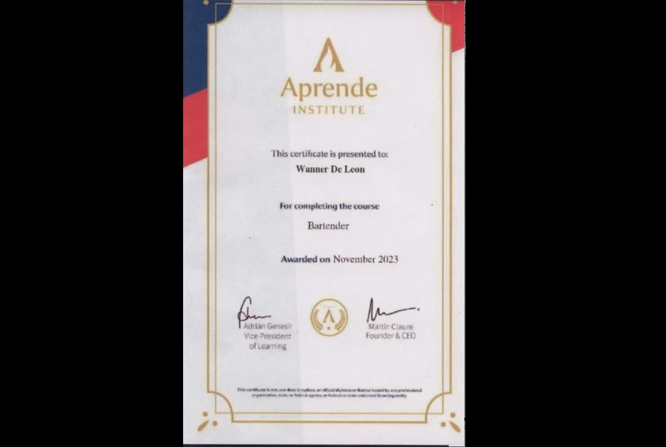 Diploma Profesional